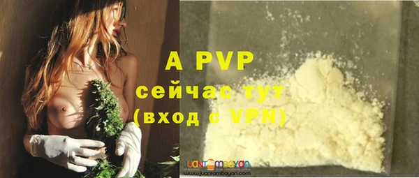 прущие крисы Богданович