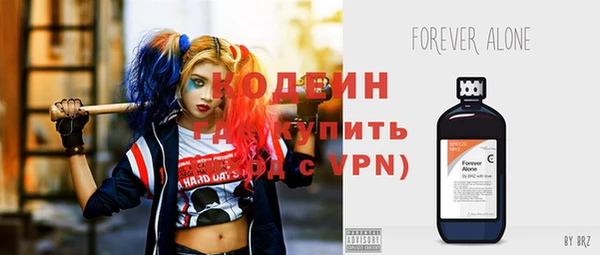 дживик Богородицк