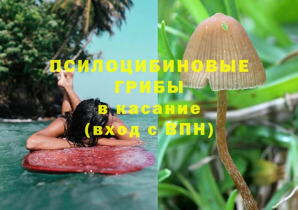 прущие крисы Богданович