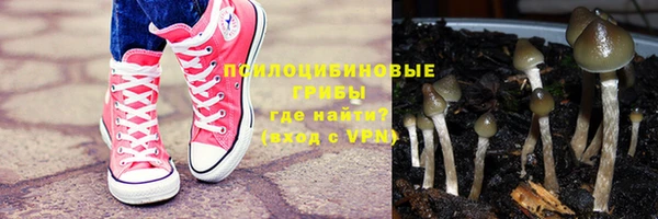 прущие крисы Богданович