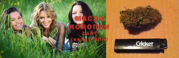 дживик Новодвинск