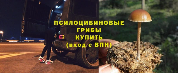 МДМА Богородск