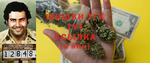дживик Богородицк