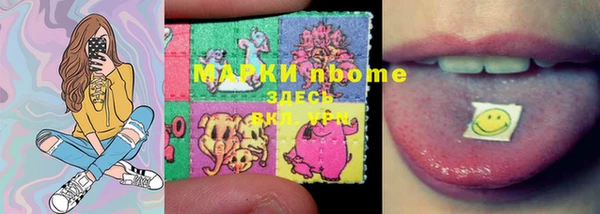 дживик Богородицк
