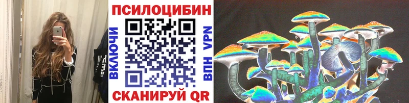 кракен ONION  где продают   Дубна  Галлюциногенные грибы Psilocybine cubensis 